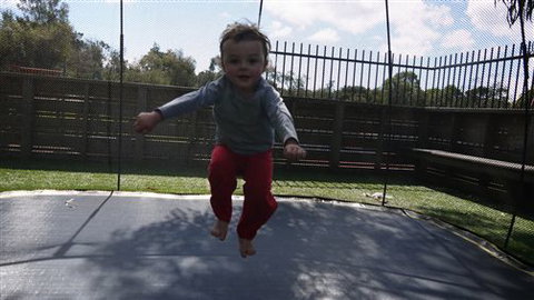 Amberlee Family Holidays - Coogee Beach Accommodation 1