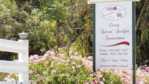 Burrabliss Bed And Breakfast - Coogee Beach Accommodation 6