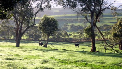 Bellevue Farmstay - Coogee Beach Accommodation 0