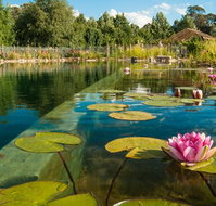 Planetrees Estate  - Coogee Beach Accommodation