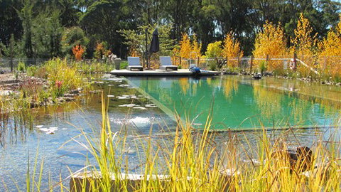 Planetrees Estate  - Coogee Beach Accommodation 5