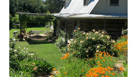 Planetrees Estate  - Coogee Beach Accommodation 6