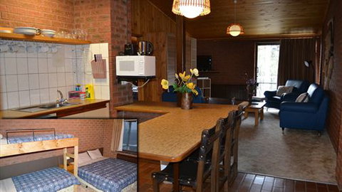 Koki Alpine Resort & Hire - Coogee Beach Accommodation 6