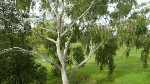 Parkside Stay Clifton Hill - Coogee Beach Accommodation 2