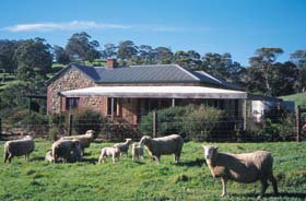Amanda Stichbury Cottage - Coogee Beach Accommodation 0