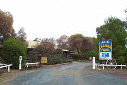 Ace Caravan Park - Coogee Beach Accommodation 0