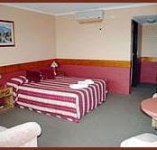 Winsor Park Motor Inn - Coogee Beach Accommodation