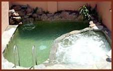 Winsor Park Motor Inn - Coogee Beach Accommodation 1