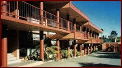 Winsor Park Motor Inn - Coogee Beach Accommodation 2