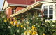 Alexandria Bed & Breakfast - thumb 1