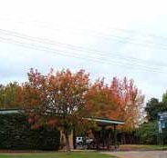 Allambie Motel Pty Ltd - Coogee Beach Accommodation