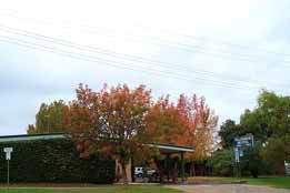 Allambie Motel Pty Ltd - Coogee Beach Accommodation 0