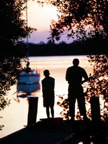 Anchorage Holiday Park - Coogee Beach Accommodation 3