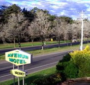 Avenue Motel - Coogee Beach Accommodation