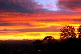 Avocado Sunset Bed & Breakfast - Coogee Beach Accommodation 7