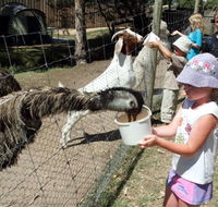 BIG4 Bairnsdale Holiday Park - Coogee Beach Accommodation