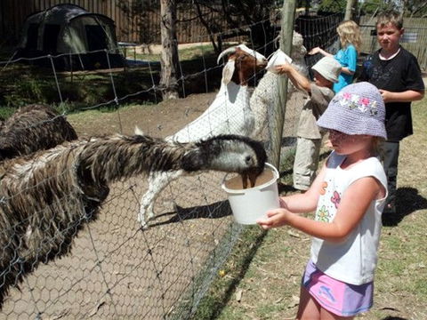 BIG4 Bairnsdale Holiday Park - Coogee Beach Accommodation 0