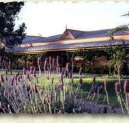 Bluebush Estate - Coogee Beach Accommodation