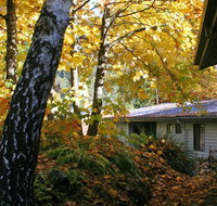 Bogong Village - Coogee Beach Accommodation