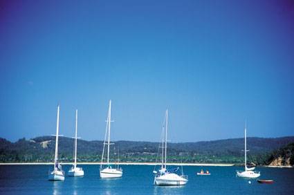 Boydtown Caravan & Camping Park - Coogee Beach Accommodation 2