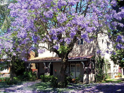 Callam Court - Coogee Beach Accommodation 0