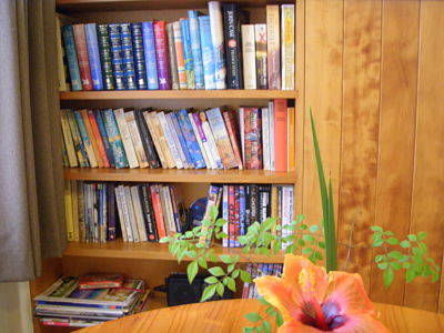 Channers On Norfolk - Coogee Beach Accommodation 4