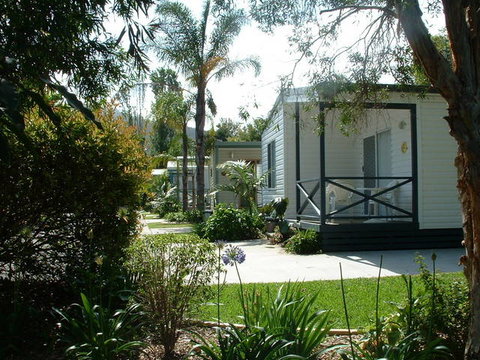 Coastal Palms Holiday Park - Coogee Beach Accommodation 0