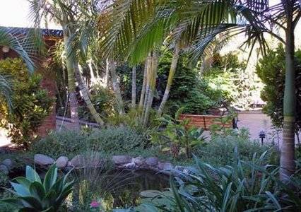 Comfort Inn Bert Hinkler - Coogee Beach Accommodation 3