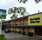 Red Star Hotel West Ryde - Coogee Beach Accommodation