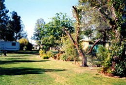 Condamine River Caravan Park - Coogee Beach Accommodation 0