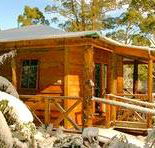 Cradle Chalet - Coogee Beach Accommodation