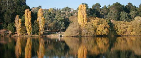 Daylesford Spa Accommodation - Coogee Beach Accommodation 4