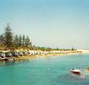 Dunleith Tourist Park - Coogee Beach Accommodation