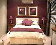 Forresters Beach Bed & Breakfast - Coogee Beach Accommodation 3