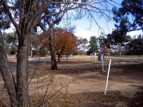 Goulburn South Caravan Park - Coogee Beach Accommodation 2