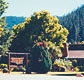 High Country Motor Inn - Coogee Beach Accommodation