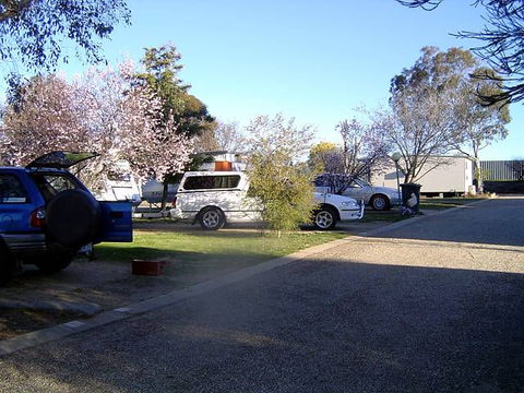 Horseshoe Motor Village Caravan Park - Coogee Beach Accommodation 1