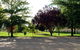 Horseshoe Motor Village Caravan Park - thumb 4