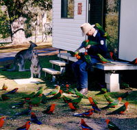 Inland Waters Holiday Parks Burrinjuck - Coogee Beach Accommodation