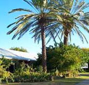 Merino Motor Inn - Coogee Beach Accommodation