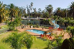 Motel Riverina - Coogee Beach Accommodation 0