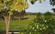 Myamba House Kyneton - thumb 5