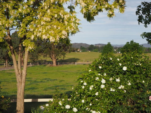 Myamba House Kyneton - Coogee Beach Accommodation 5