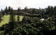Poinciana Cottages - thumb 4
