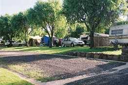 Poplar Caravan Park - Coogee Beach Accommodation 3