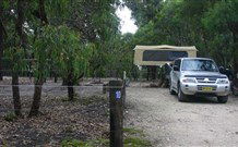 Bittangabee Campground - Coogee Beach Accommodation 1