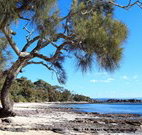 Currarong Beachside Holiday Park - Coogee Beach Accommodation