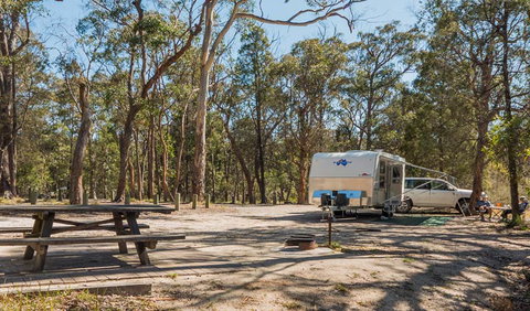 Cypress-pine Campground - Coogee Beach Accommodation 1