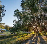 Delicate campground - Coogee Beach Accommodation