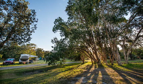 Delicate Campground - Coogee Beach Accommodation 0